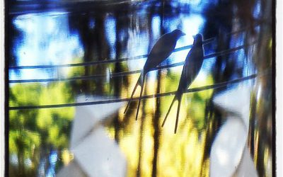 Xvii premio fotográfico ciudad de huesca