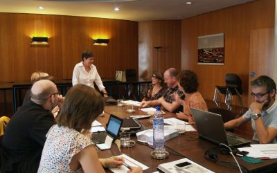 Becas ramón acín y antonio saura 2011